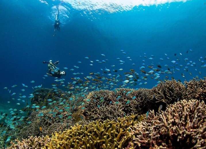 Menyelam di Surga Tersembunyi: Gili Islands, Lombok